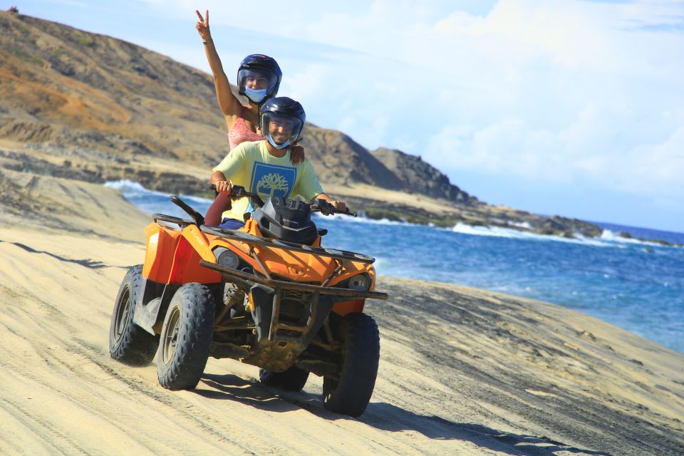 Los Cabos: Desert Camel and ATV Ride With Tequila Tasting