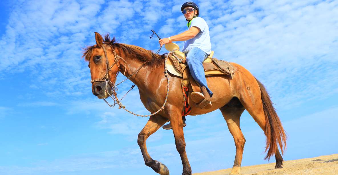 Los Cabos: Horseback Ride on Pacific Beach and Desert - Tour Overview