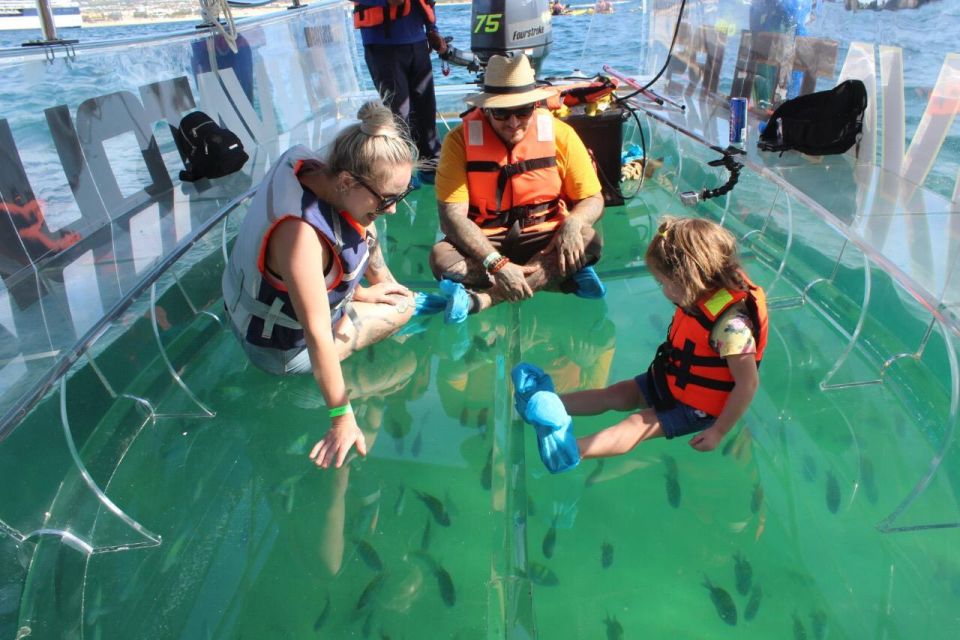 Los Cabos: The Original Glass Bottom Boat Cruise