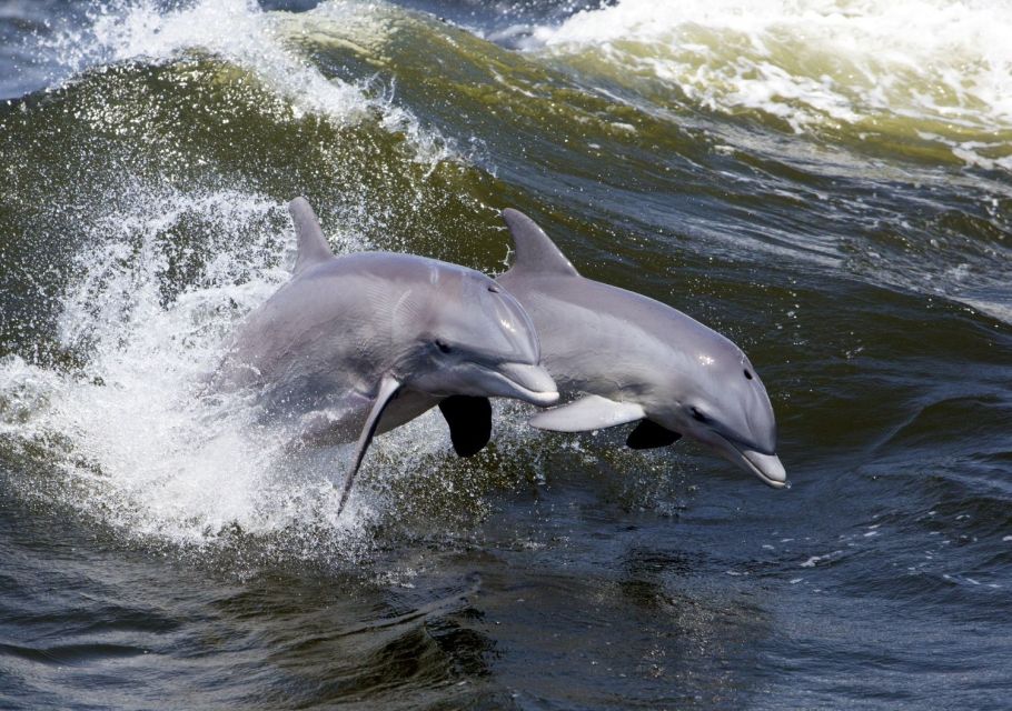 Lowcountry Lunch Buffet Cruise