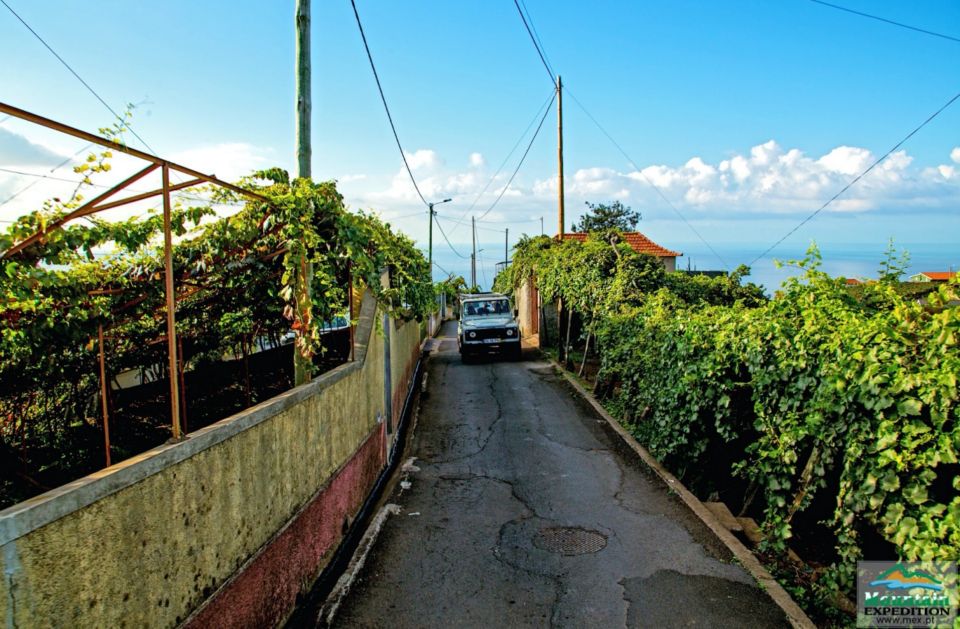 Madeira: Half-Day Nuns Valley and Sea Cliff Tour