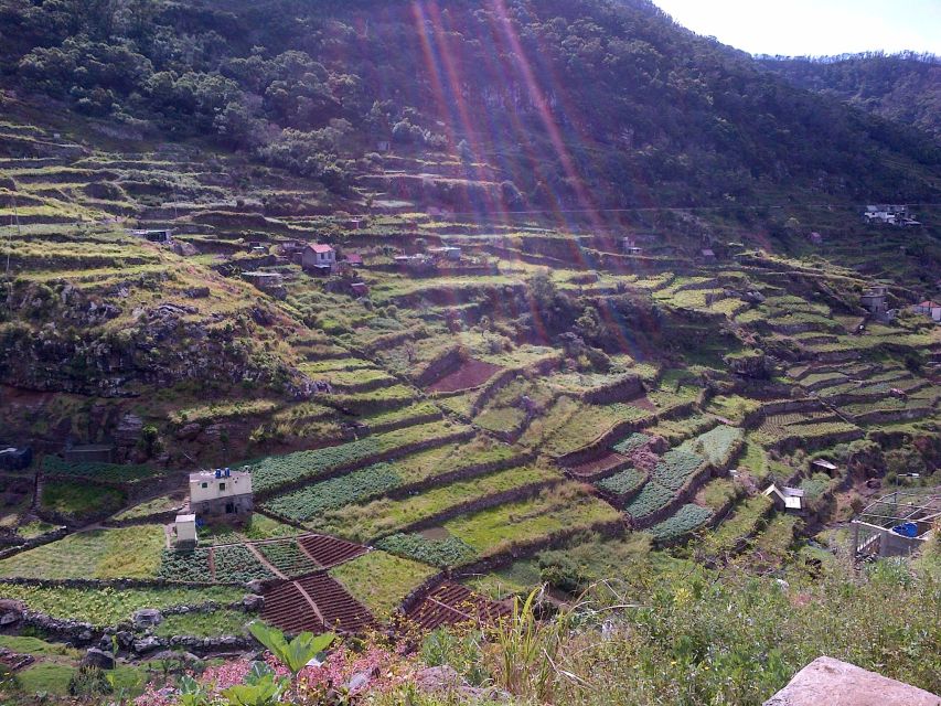 Madeira: Maroços Landscapes 2.5-Hour Guided Walk