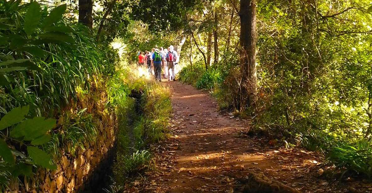 Madeira: Paradise Valley Levada Walk