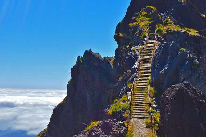 Madeira Peaks - Mountain Walk - Overview of the Tour