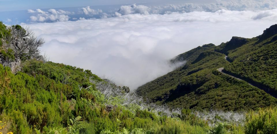 Madeira: Private Guided Achadas Teixeira – Pico Ruivo PR1.1