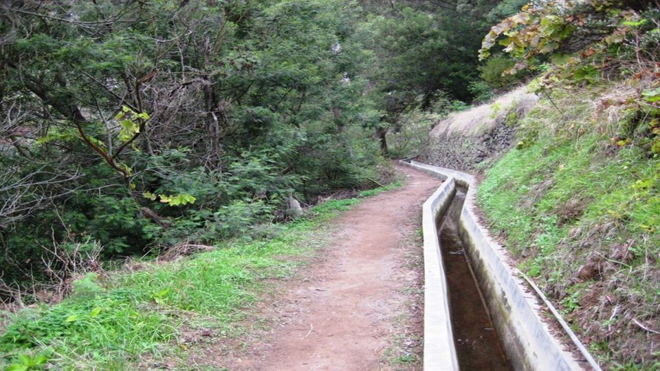 Madeira: Private Hike From Levada Do Canical to Machico