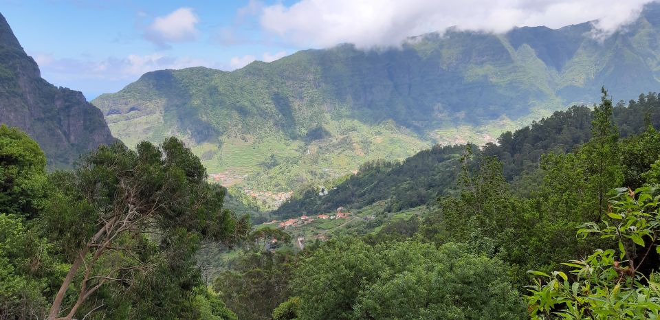 Madeira: Private Levada Faja Dos Rodrigues Walk - Overview of the Walk