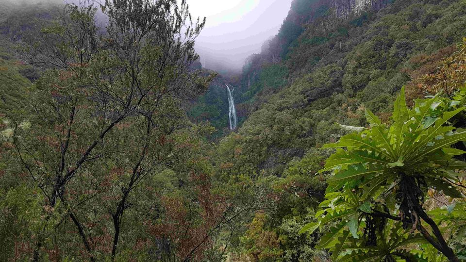 Madeira: Private Walking Tour of Levada Das 25 Fontes PR6 - Tour Details