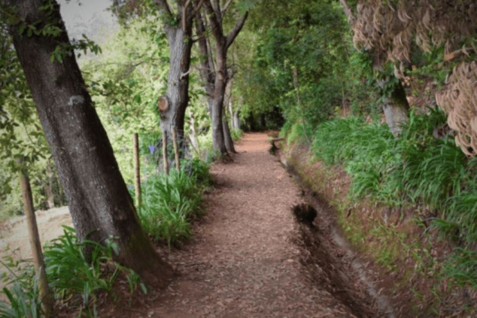 Madeira: Walking Tour – Paradise Valley / Rochão