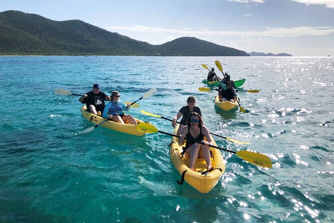 Magic Mangrove Paddle in Beef Island Lagoon - Encounter With Marine Life