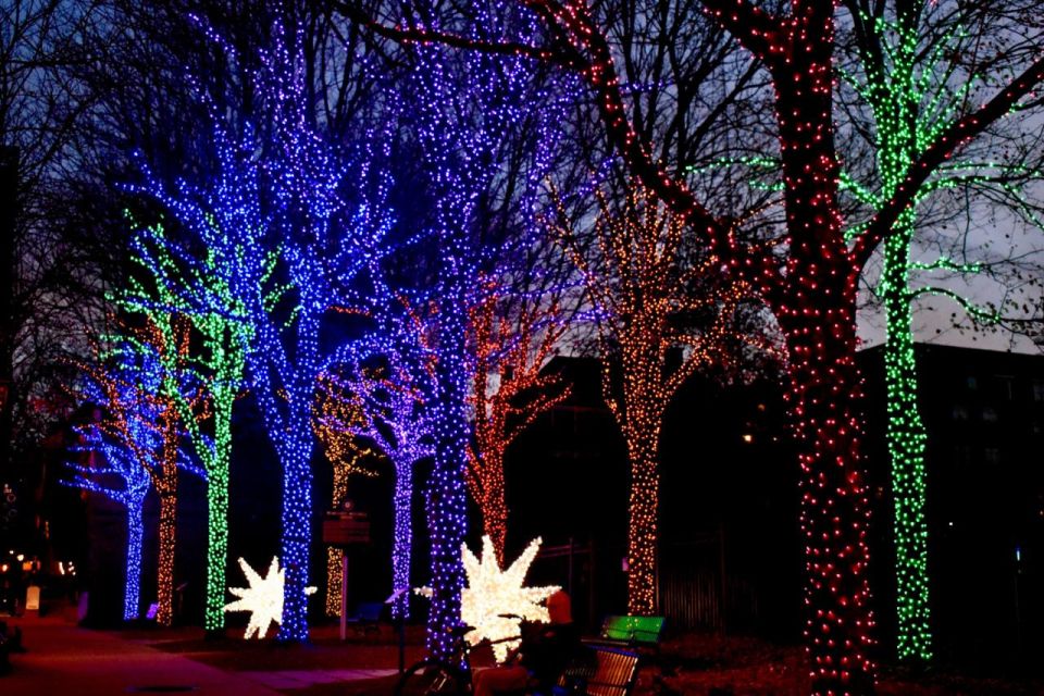 Magical Christmas Walking Tour in Atlanta