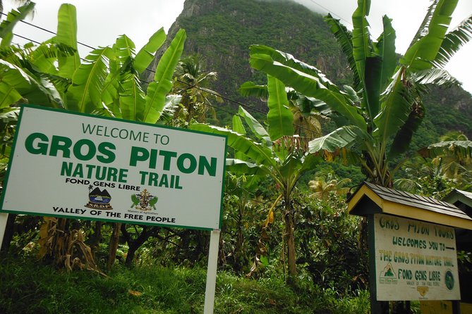 Majestic Gros Piton Hike