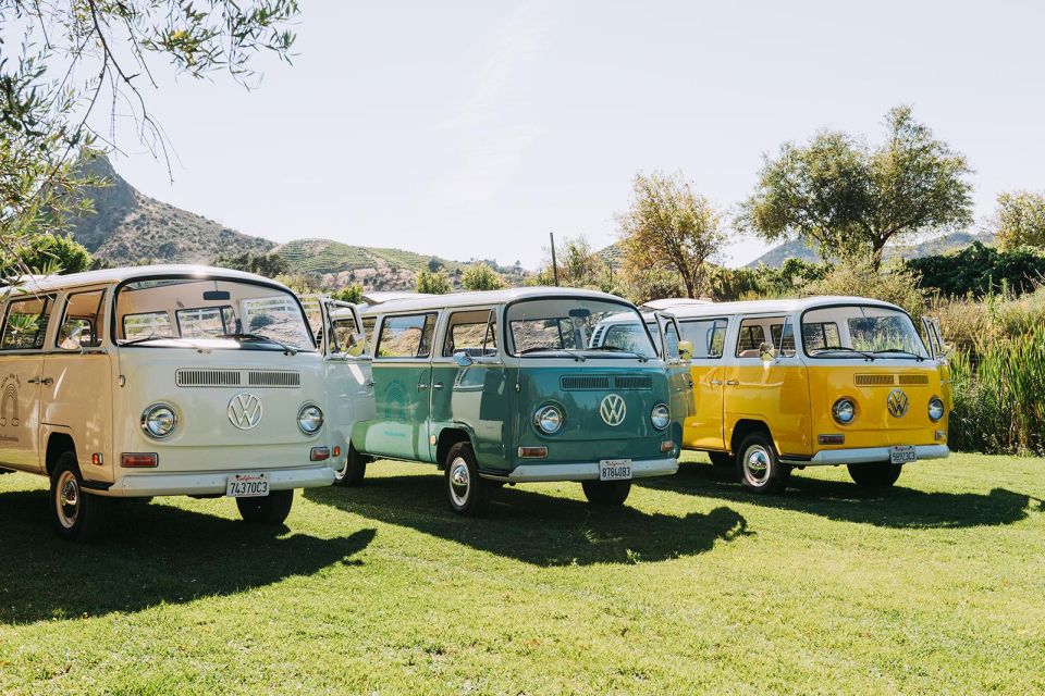 Malibu: Vintage VW Bus and Vineyard Tour