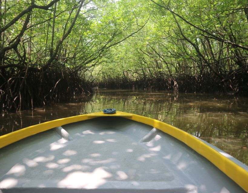 Mangrove Day Tour – Bintan