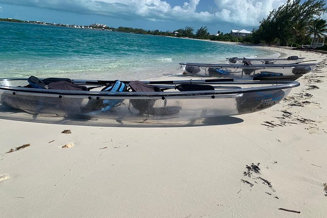 Mangrove & Iguana Clear Kayak Tour