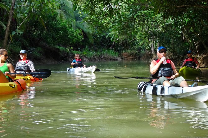 Mangrove Kayak Tour | Manuel Antonio