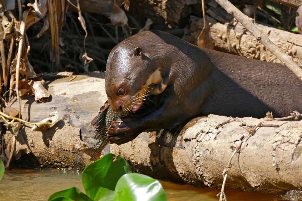 Manu National Park Tour 3 Days - Tour Details