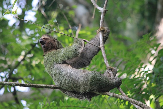 Manuel Antonio National Park Tour