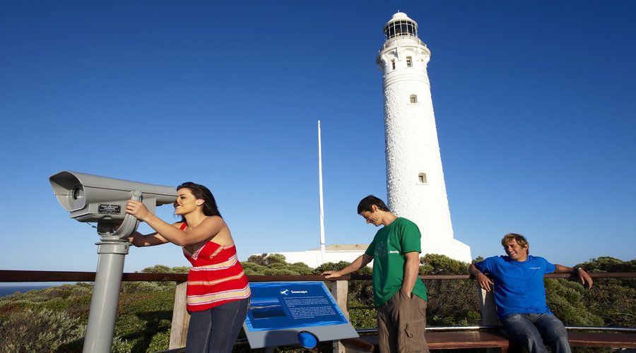 Margaret River and Busselton Jetty: Day Trip From Perth