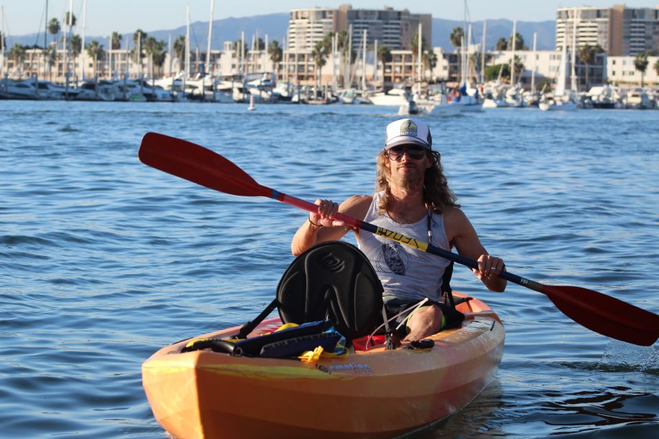 Marina Del Rey: Kayak and Paddleboard Tour With Sea Lions