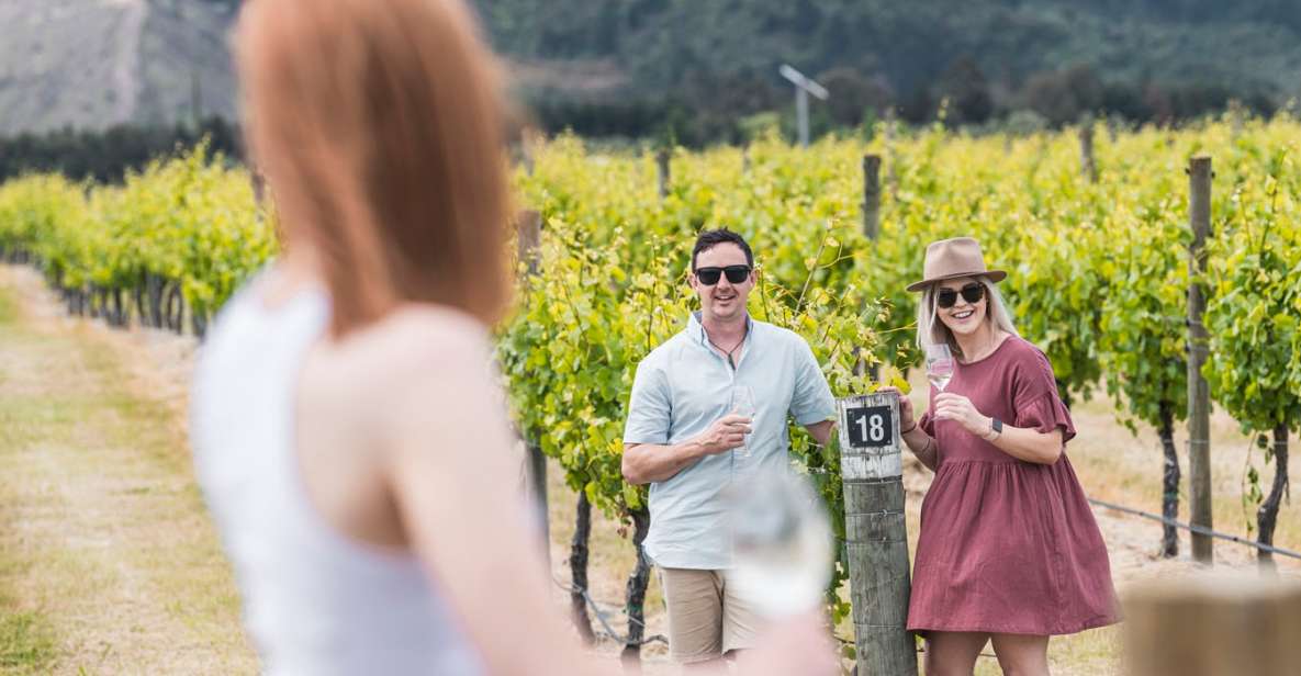 Marlborough: Wineries Visit With Tastings and 2-Course Lunch