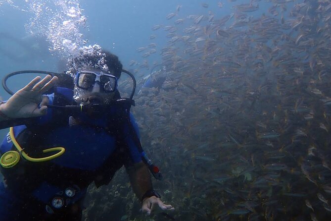 Marmaris Full Day Scuba Diving Two Dives With Lunch Hotel Pickup