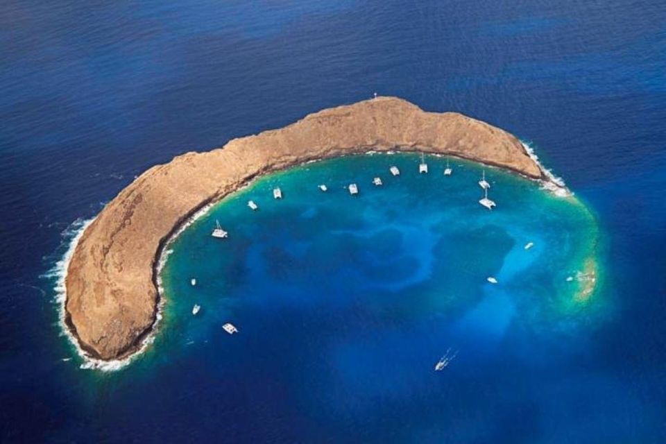 Maui: Koa Kai Molokini Snorkel & Whale Watch