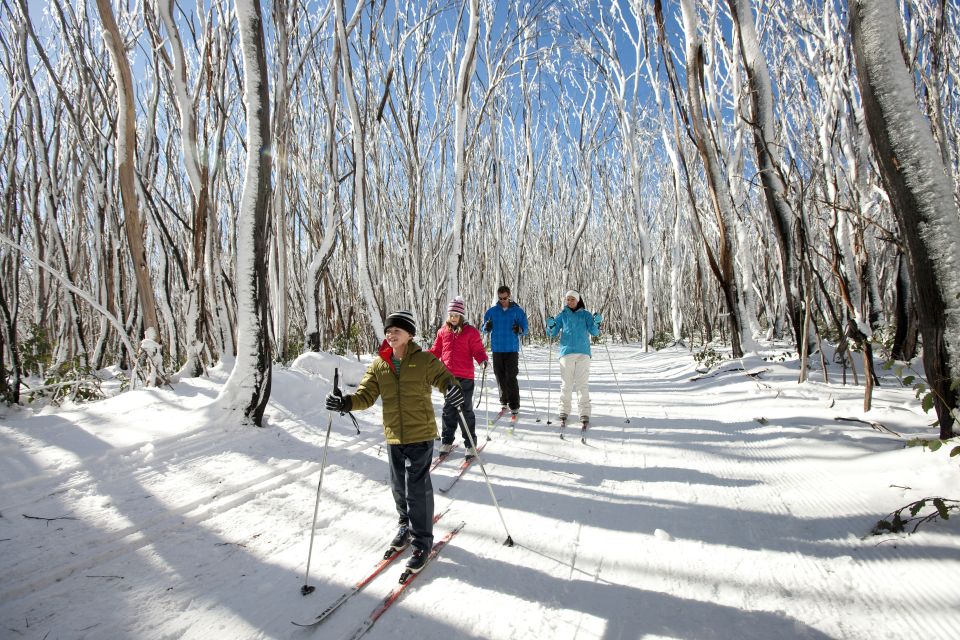 Melbourne: Lake Mountain Snow Guided Tour - Tour Details