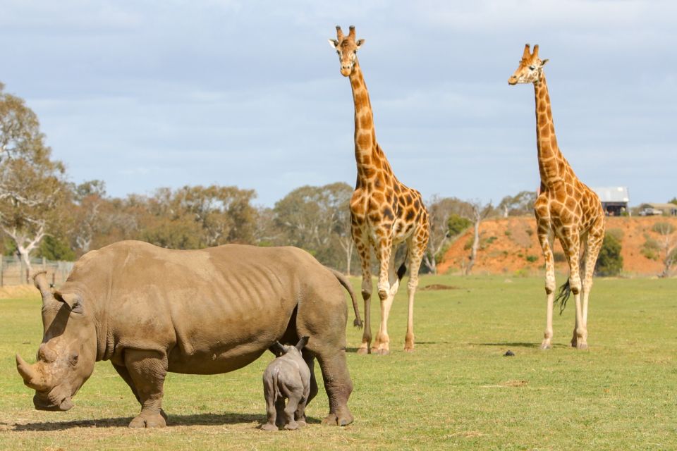 Melbourne: Werribee Open Range Zoo Admission Ticket