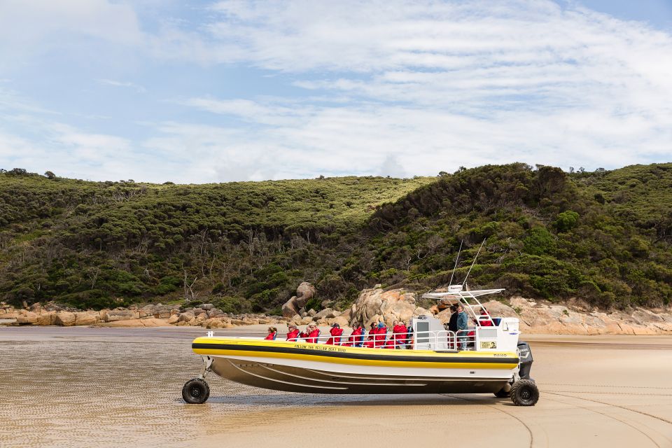 Melbourne: Wilsons Promontory Morning Wilderness Cruise