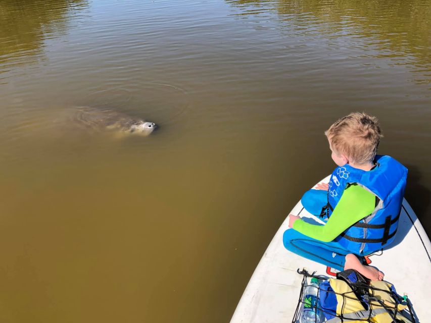 Merritt Island: Guided Kayak or SUP Tour Along Banana River