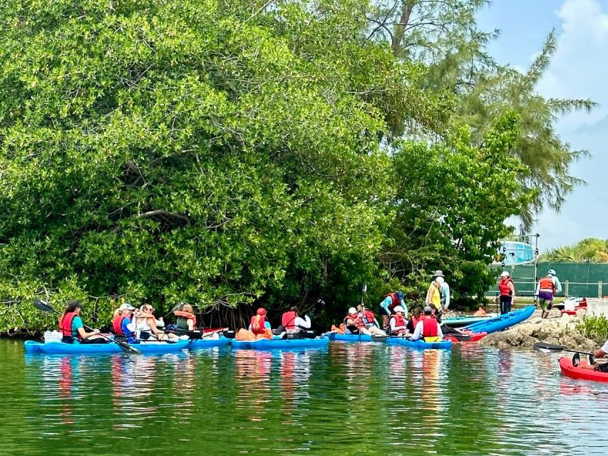 Miami: Manatee Season Tour Paddleboard or Kayak Tour