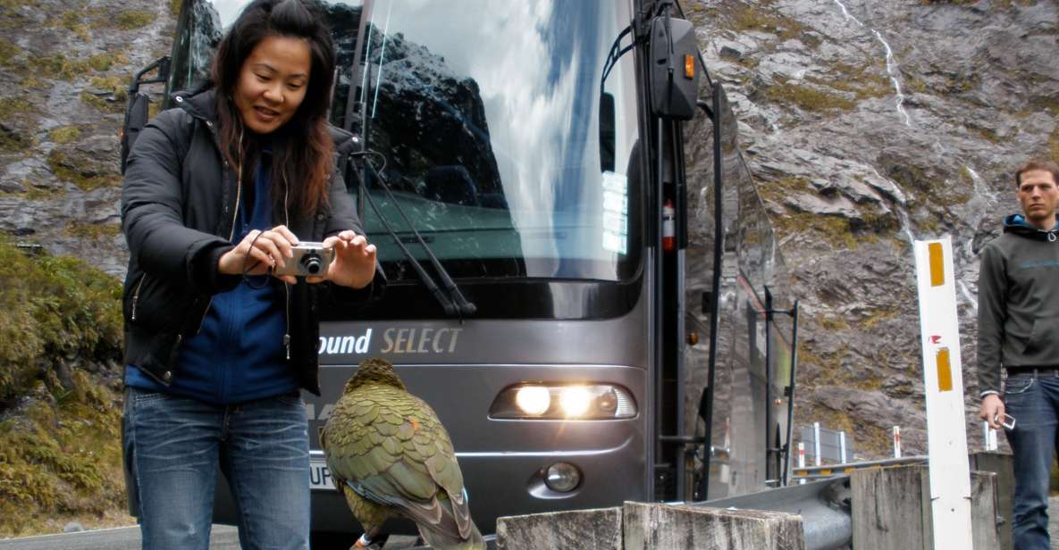 Milford Sound Premium Day Tour and Cruise From Te Anau