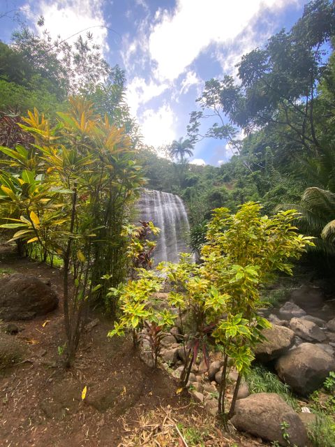 Mini Waterfall Hike