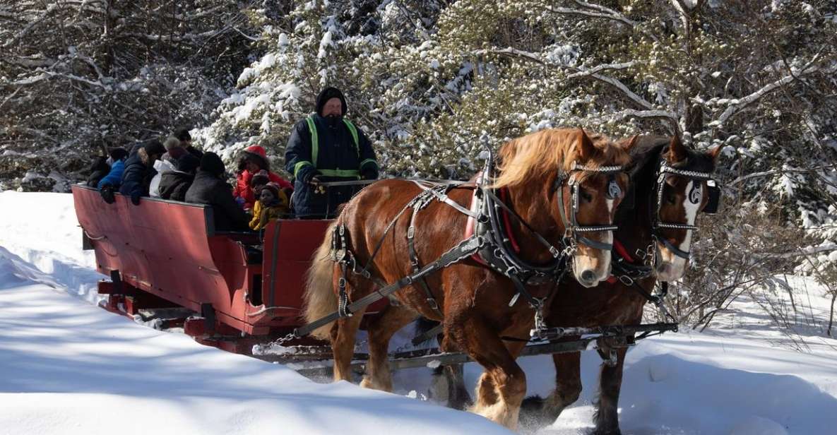 Mont-Tremblant: Sleigh Ride W/ Storytelling & Hot Chocolate