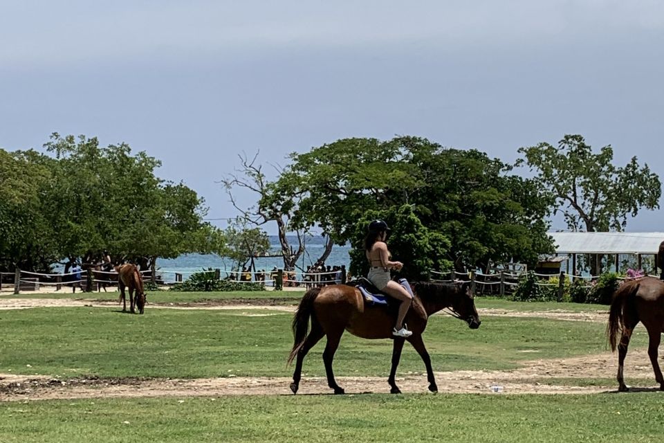 Montego Bay: Day Trip With Zipline, Atv, and Horseback Ride - Tour Overview