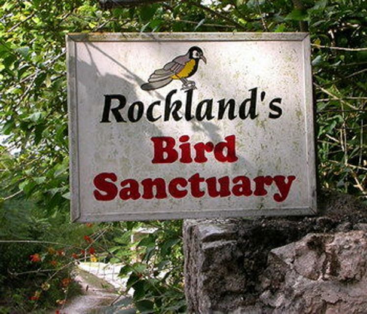 Montego Bay: Private Rocklands Bird Sanctuary Trip