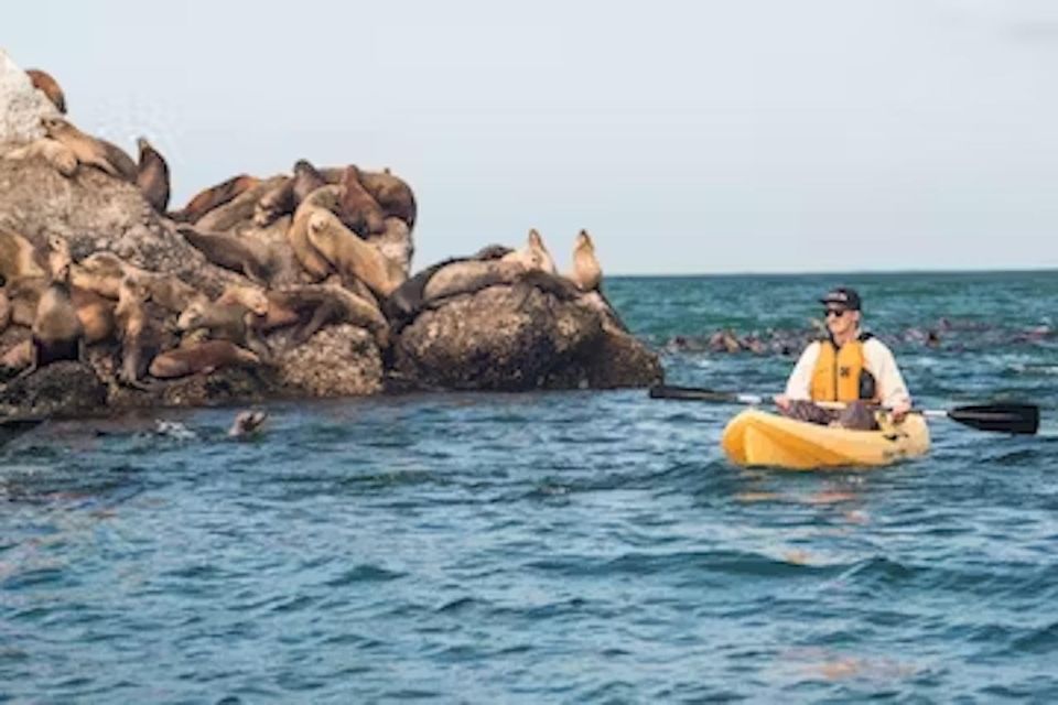 Monterey: Pebble Beach Kayak Tour