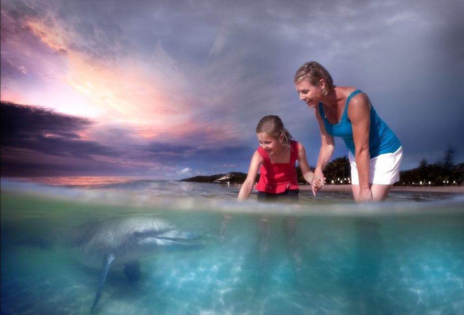 Moreton Island: Marine Discovery Cruise & Dolphin Feeding