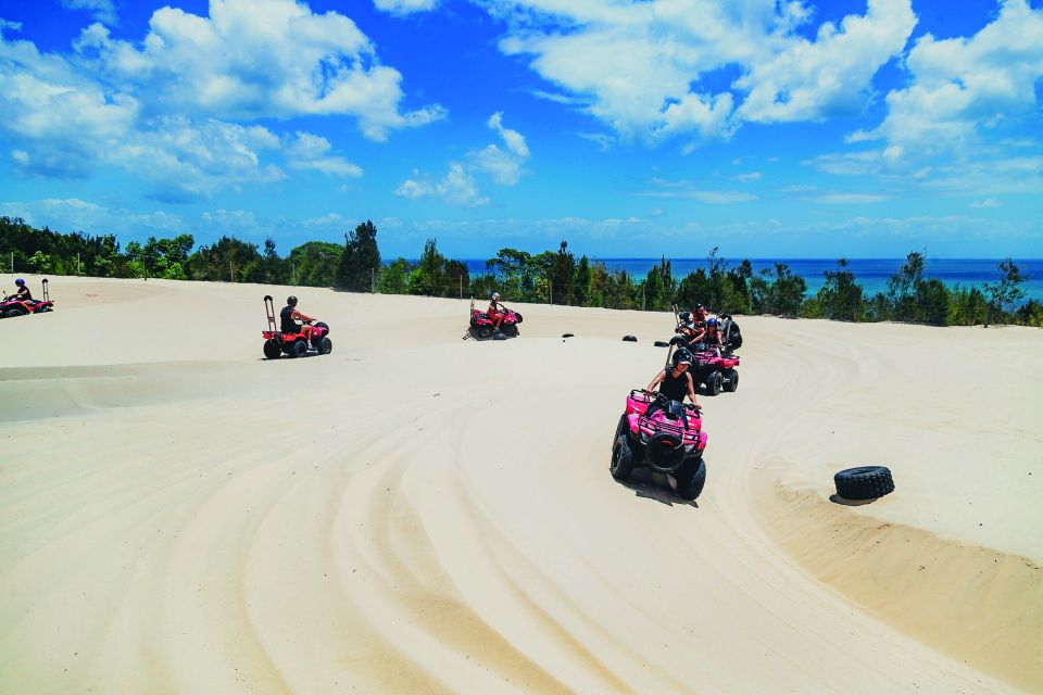 Moreton Island: Tangalooma Quad Bikes and Dolphin Viewing