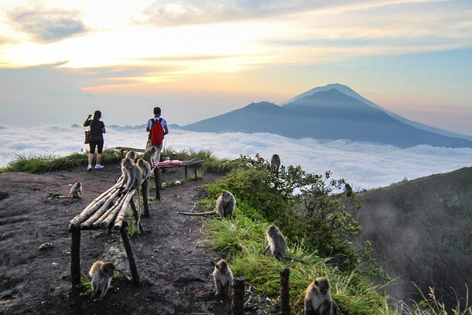 Mount Batur Volcano Bali Sunrise Trekking