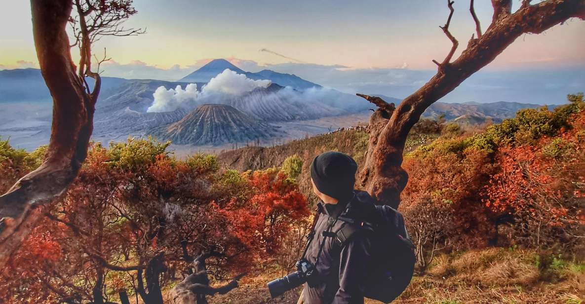 Mount Bromo Sunrise and Madakaripura Waterfall 1 Day Tour