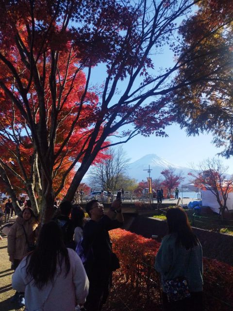 Mount Fuji – Hakone & Onsen Full Day Private Tour
