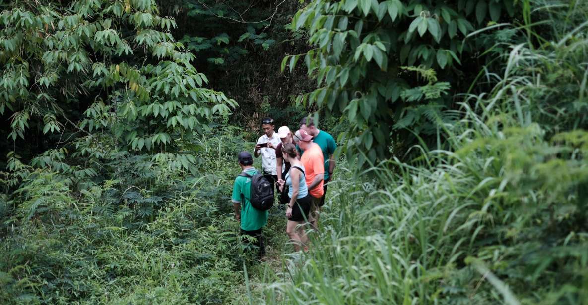 Mt. Merapi Majesty: Soft Trek and Botanic Village Tour