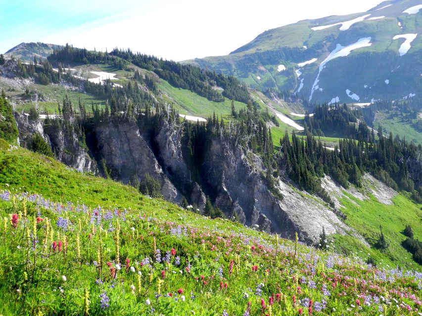 Mt Rainier, Seattle, & Olympic NP Self-Guided Audio Tours