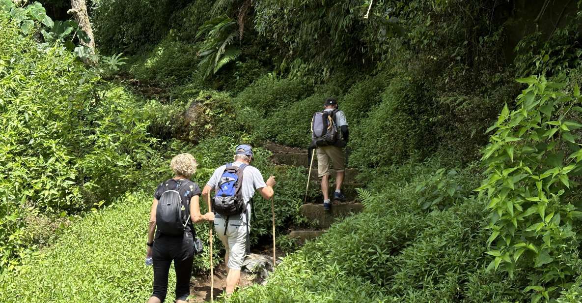 Munduk/Bali: Jungle Trek, Canoe, Waterfall & Cycling