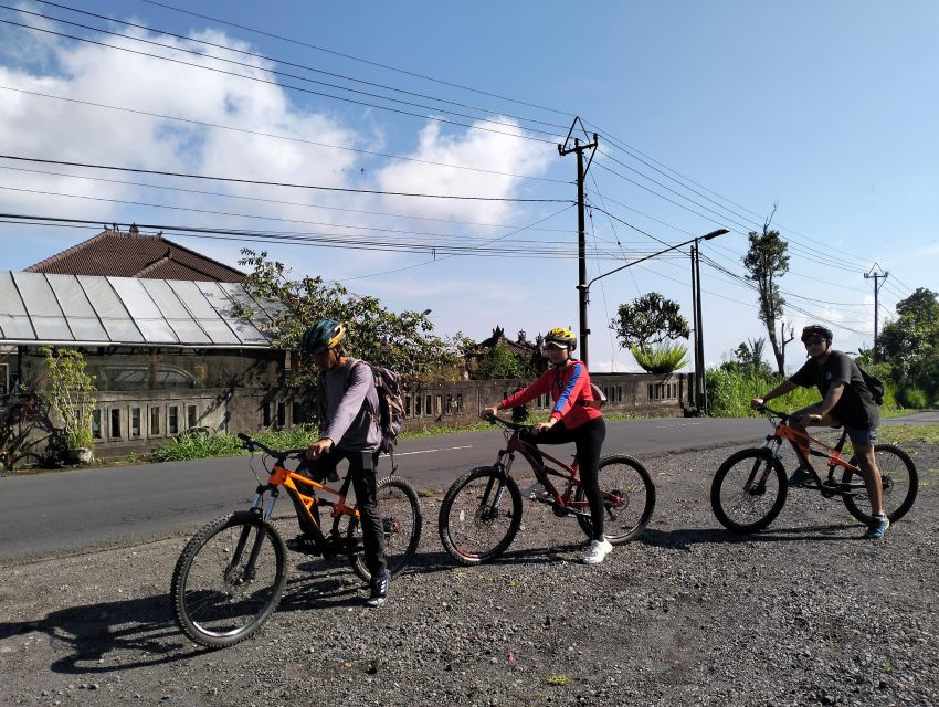 Munduk: Cross Country Down Hill Tamblingan to Lovina - Tour Overview