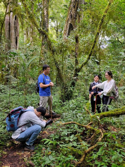 Munduk: Jungle Trekking, Canoeing, Waterfall & Authentic Lunch