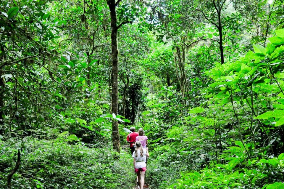 Munduk: Rainforest Tamblingan Lake Trekking & Canoeing