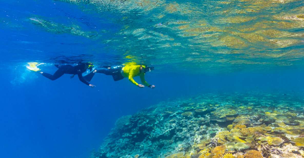 Museum Of Underwater Art & Great Barrier Reef Day Trip